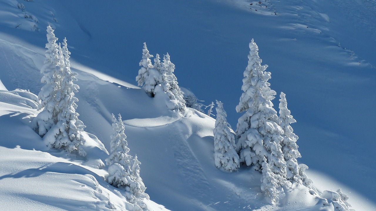 It’s (currently) a winter wonderland